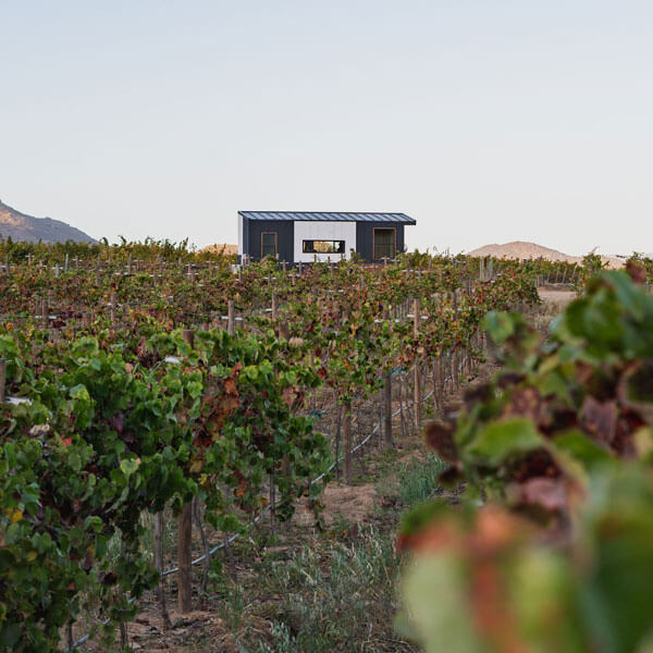 ADU / tiny home in the middle of a vineyard for easier access